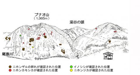 サル地図R302-3