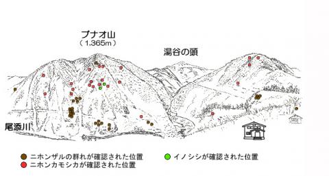 サル地図R303-1