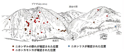 サル位置図R303-2