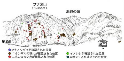 サル位置図R303-3