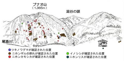 サル位置図R303-3