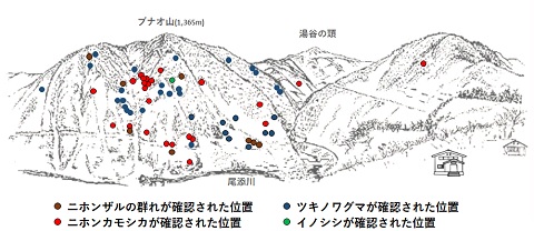 サル位置図R304-1