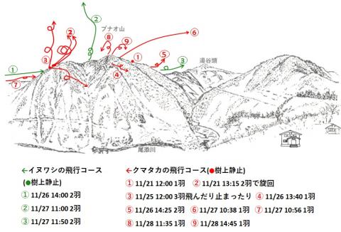 R411-1イヌワシ地図