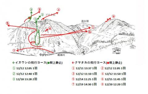 イヌワシ地図R4-12-2