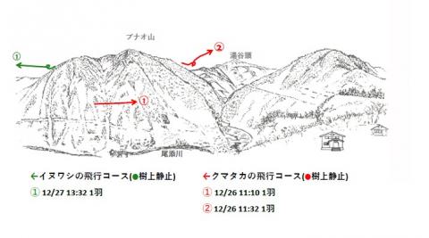 イヌワシ地図R412-3