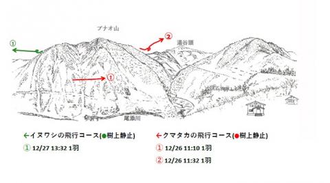 イヌワシ地図R412-3