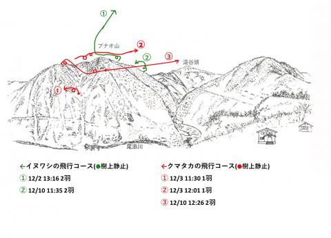 R412-1イヌワシ地図