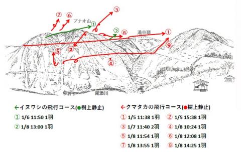 イヌワシ地図R501-1