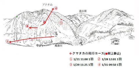 イヌワシ地図R501-3