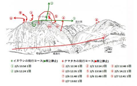 イヌワシ地図R502-1