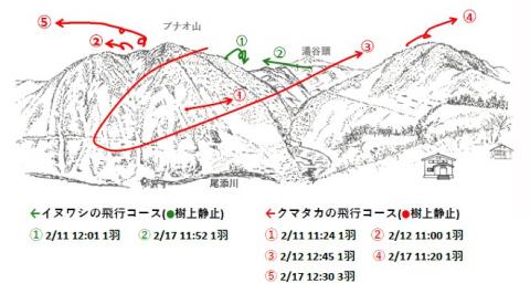 イヌワシ地図R502-2