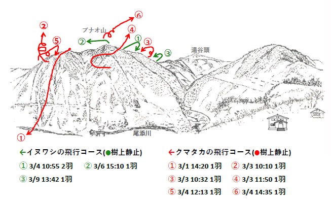 イヌワシ地図R50301