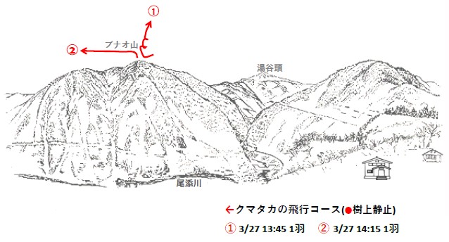 イヌワシ地図R50303