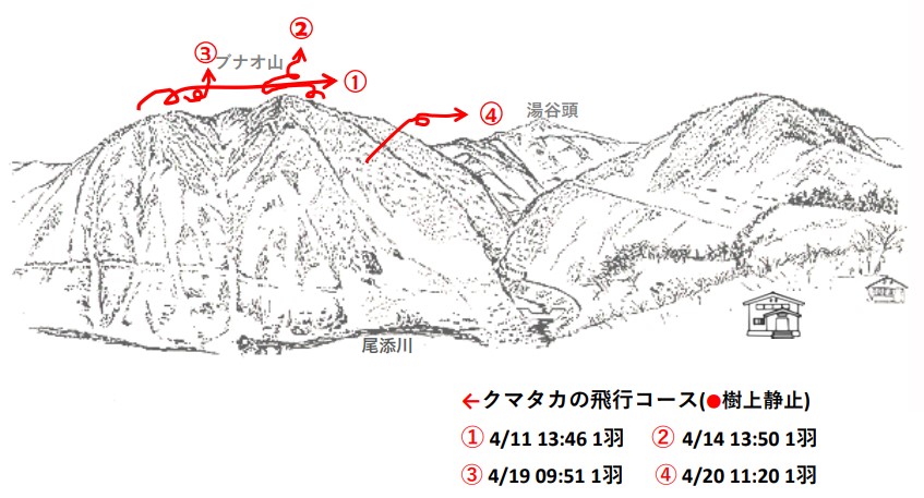 イヌワシ地図R504-2