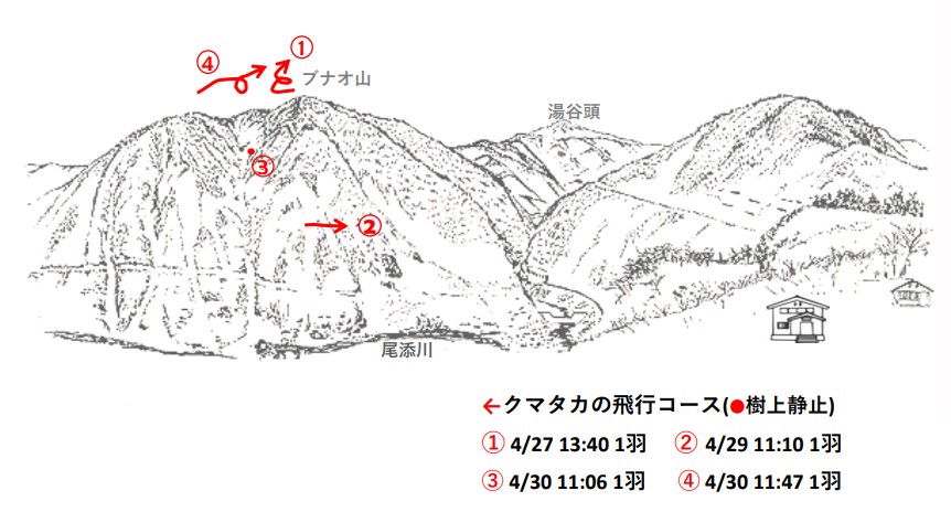 イヌワシ地図R504-3