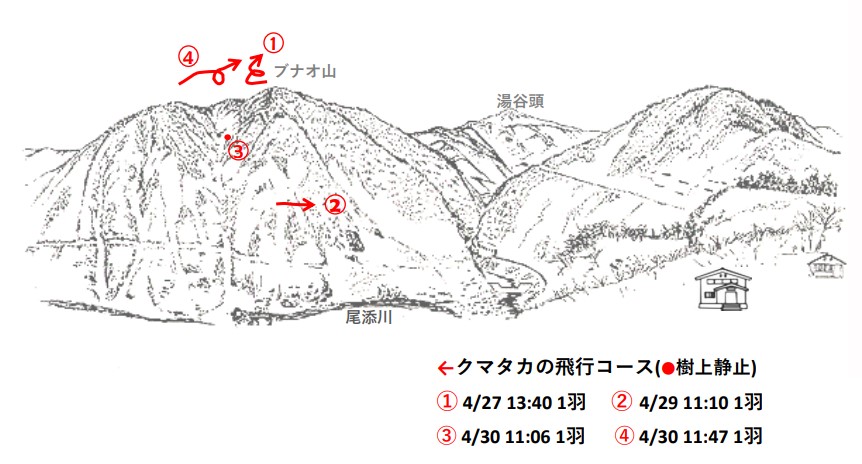 イヌワシ地図R504-3