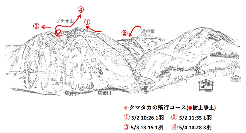 イヌワシ地図R505-1