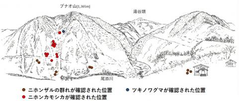 R411-1サル地図