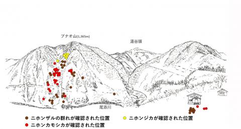 R412-1サル地図