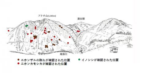 サル地図R412-3