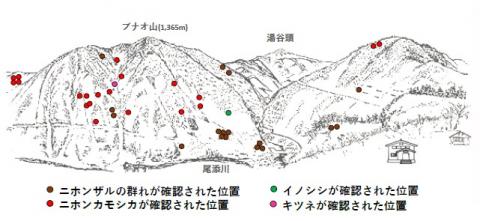 サル地図R501-1