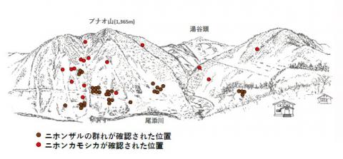 サル地図R501-2