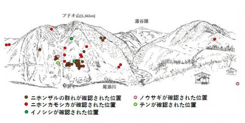 サル地図R501-3