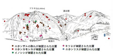 サル地図R502-1