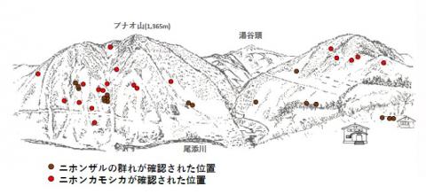 サル地図R502-2