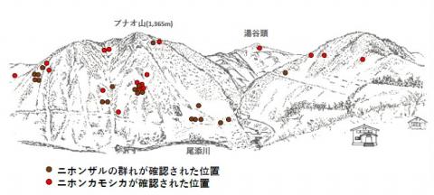 サル地図R502-3