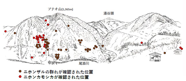 サル地図R50301