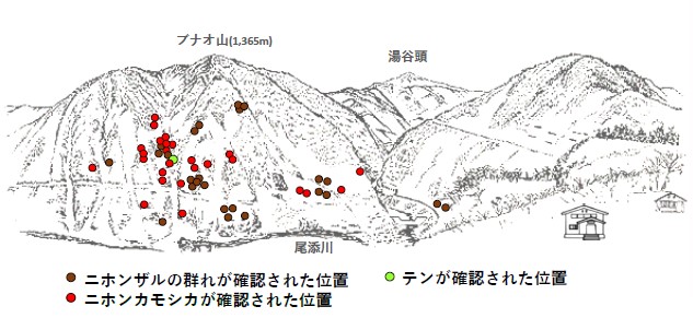 サル地図R50302