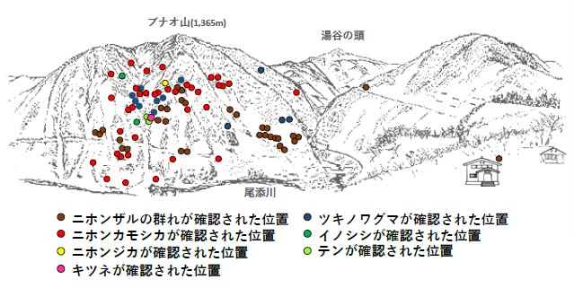 サル地図R50303