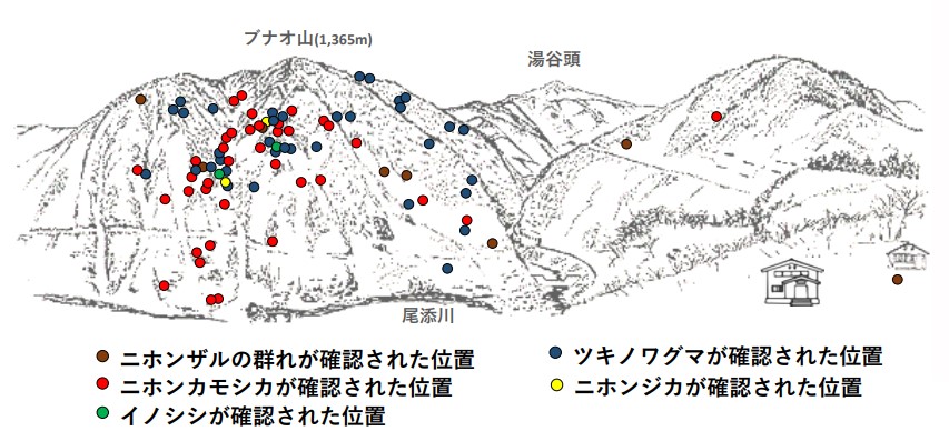 サル地図R504-1