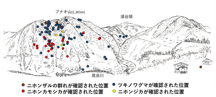 サル地図R504-2