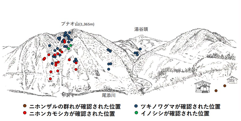 サル地図R504-3