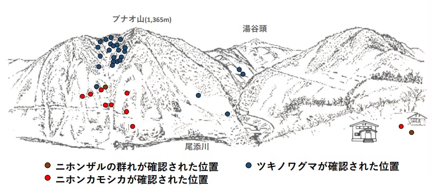 サル地図R505-1