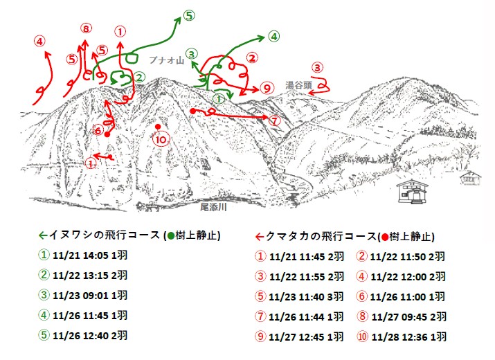 イヌワシ地図R511-1