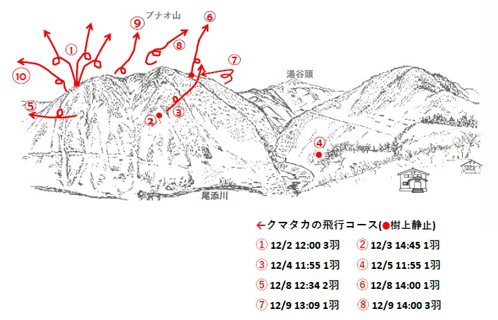 イヌワシ地図R512-1