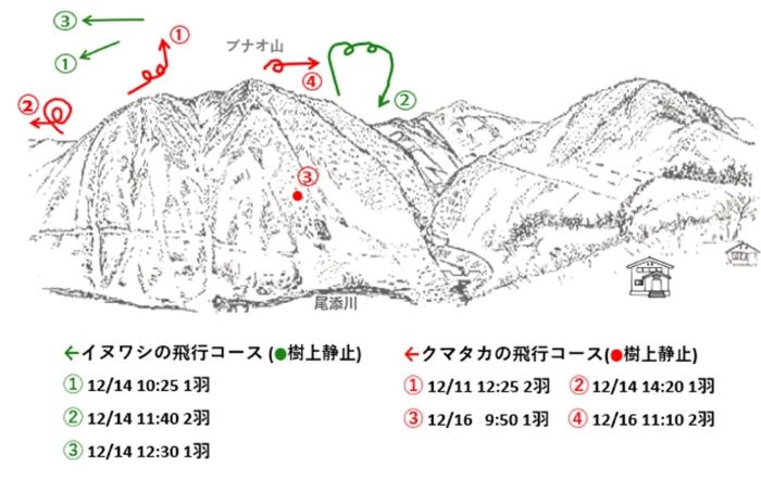 イヌワシ地図R5122a