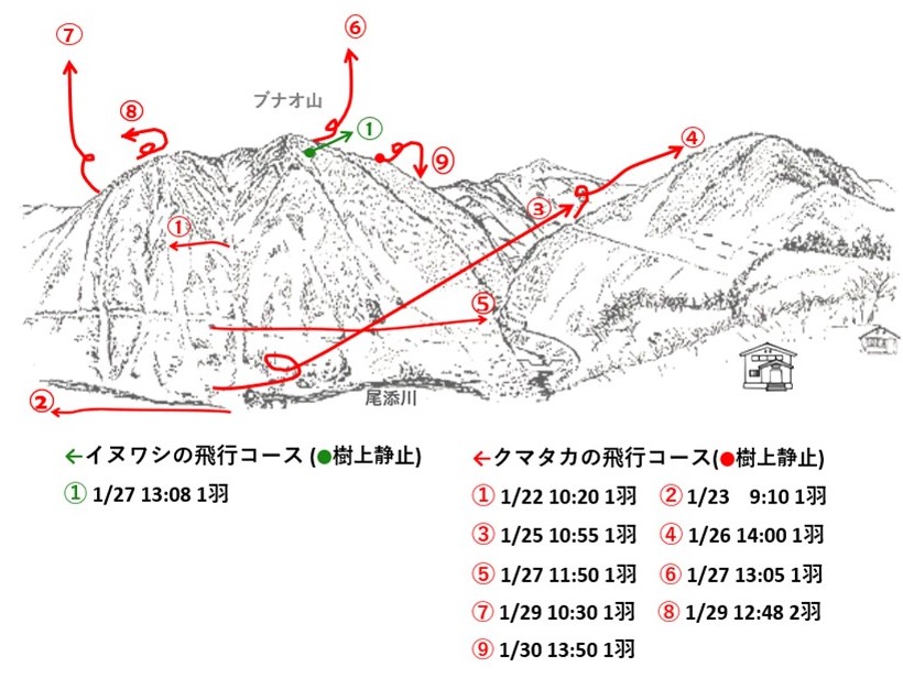 イヌワシ地図r601-3