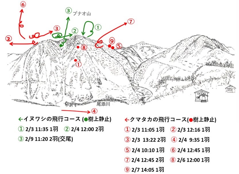 イヌワシ地図r602-1-2