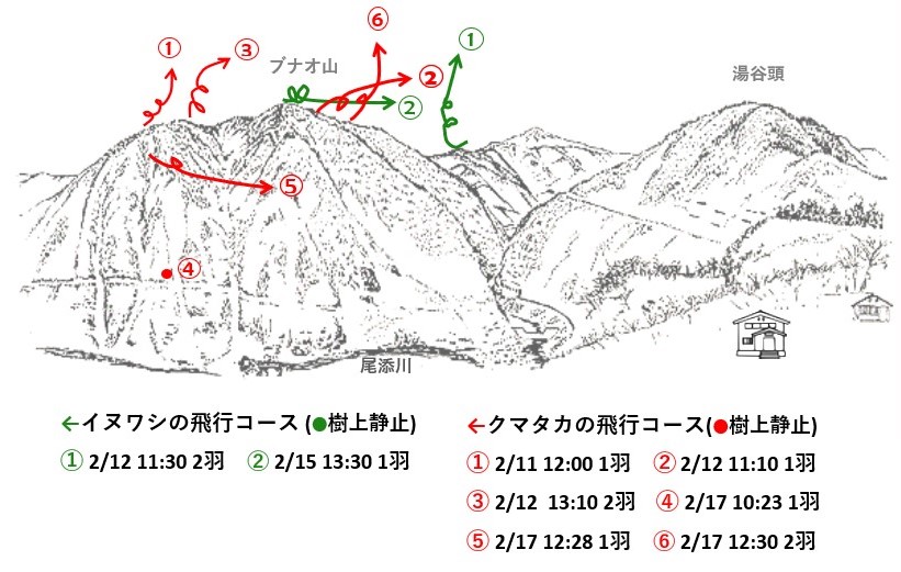 イヌワシ地図r602-2