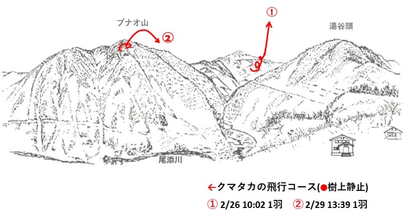 イヌワシ地図r062-3-2