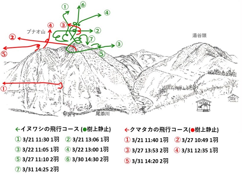 イヌワシ地図r603-3