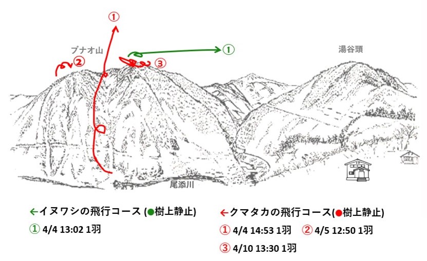 イヌワシ地図r064-1