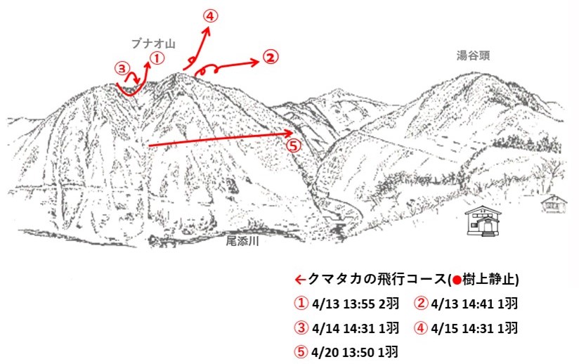 イヌワシ地図r604-2
