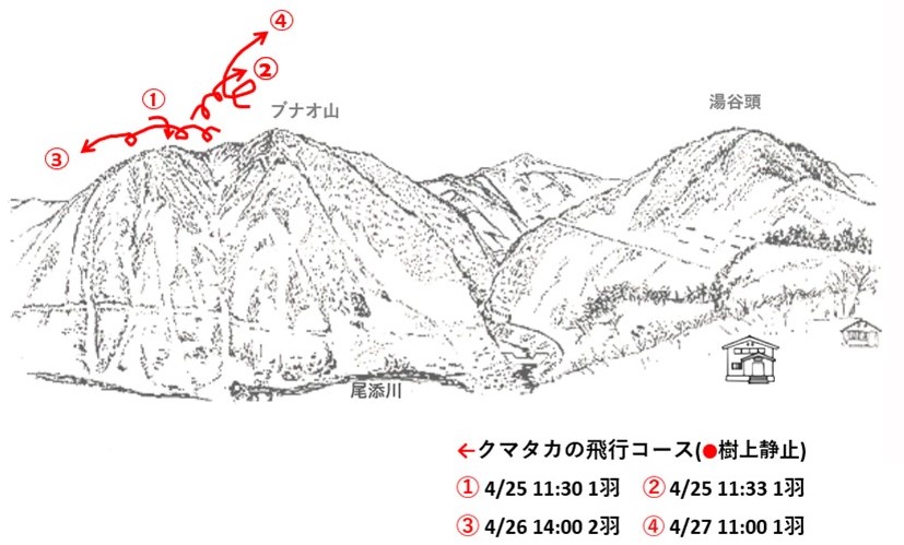イヌワシ地図r604-3