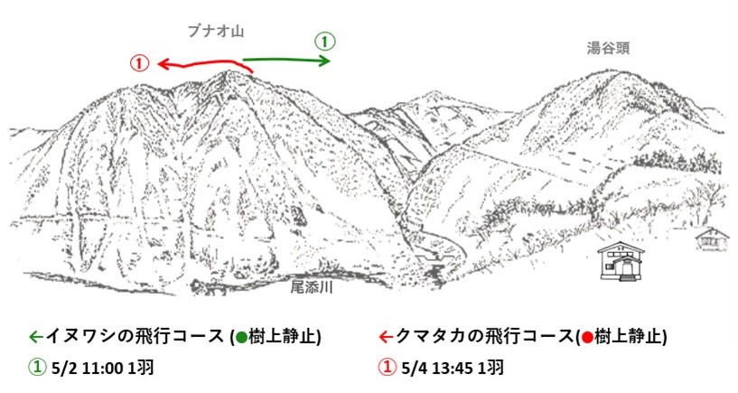 イヌワシ地図r065-1