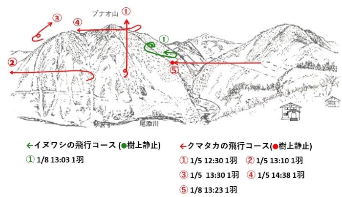 イヌワシ地図r61-1